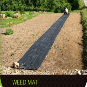 PP Non Woven Geotextile/ Weed Barrier Fabric